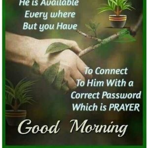 Meet your Posher, Debbie lexus